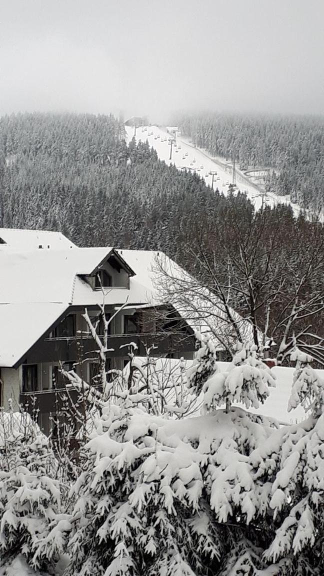 Ferienwohnung Steffens Hahnenklee Wohnung 25 Goslar Eksteriør bilde