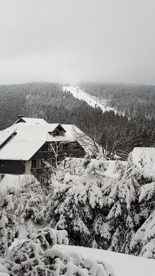 Ferienwohnung Steffens Hahnenklee Wohnung 25 Goslar Eksteriør bilde