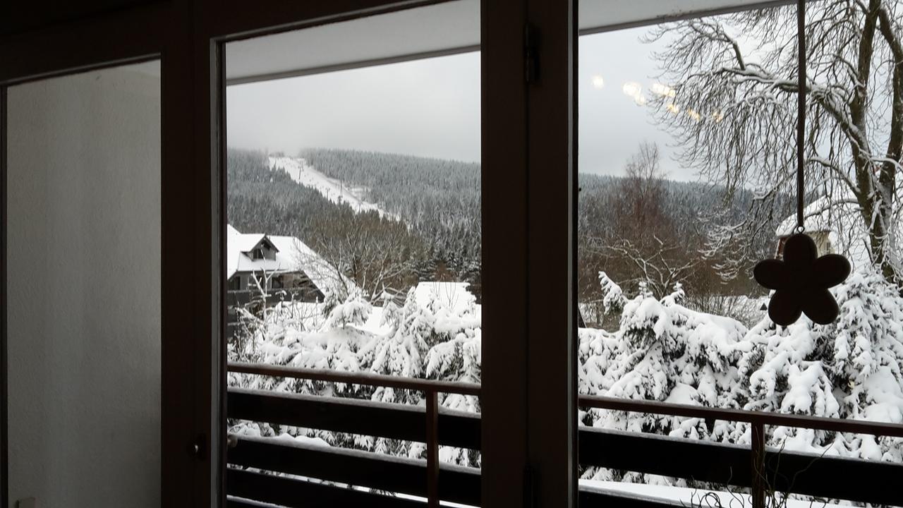 Ferienwohnung Steffens Hahnenklee Wohnung 25 Goslar Eksteriør bilde